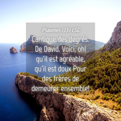 Picture 04 - Psaumes 133:1 LSG - Cantique des degrés. De David. Voici, oh! qu'il - Bible Verse Picture