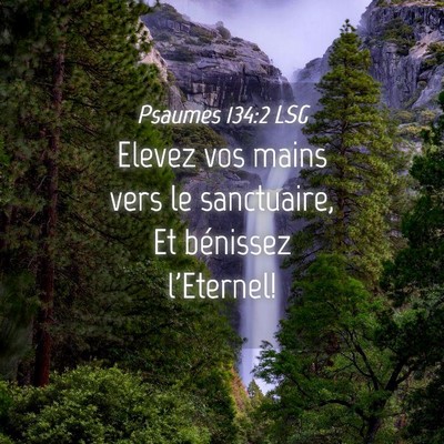Picture 04 - Psaumes 134:2 LSG - Elevez vos mains vers le sanctuaire, Et bénissez - Bible Verse Picture