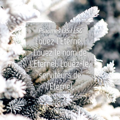 Picture 04 - Psaumes 135:1 LSG - Louez l'Eternel! Louez le nom de l'Eternel, - Bible Verse Picture
