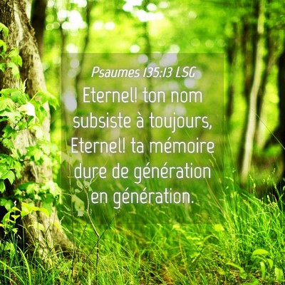 Picture 04 - Psaumes 135:13 LSG - Eternel! ton nom subsiste à toujours, Eternel! - Bible Verse Picture