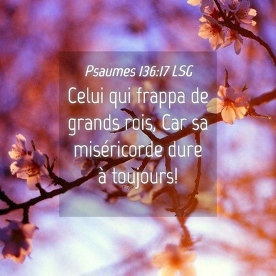 Picture 04 - Psaumes 136:17 LSG - Celui qui frappa de grands rois, Car sa - Bible Verse Picture