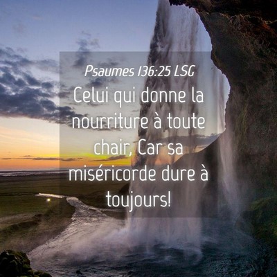 Picture 04 - Psaumes 136:25 LSG - Celui qui donne la nourriture à toute chair, Car - Bible Verse Picture