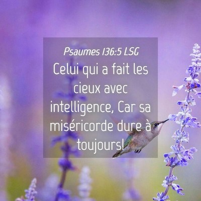 Picture 04 - Psaumes 136:5 LSG - Celui qui a fait les cieux avec intelligence, Car - Bible Verse Picture