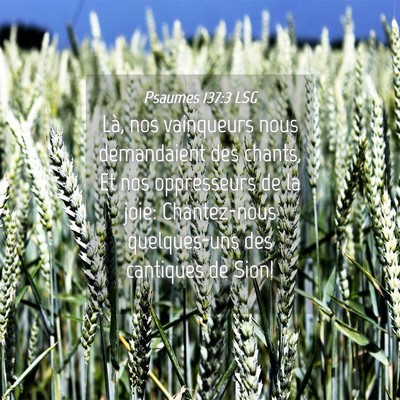 Picture 04 - Psaumes 137:3 LSG - Là, nos vainqueurs nous demandaient des chants, - Bible Verse Picture