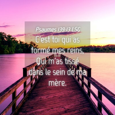 Picture 04 - Psaumes 139:13 LSG - C'est toi qui as formé mes reins, Qui m'as - Bible Verse Picture