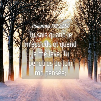 Picture 04 - Psaumes 139:2 LSG - Tu sais quand je m'assieds et quand je me lève, - Bible Verse Picture