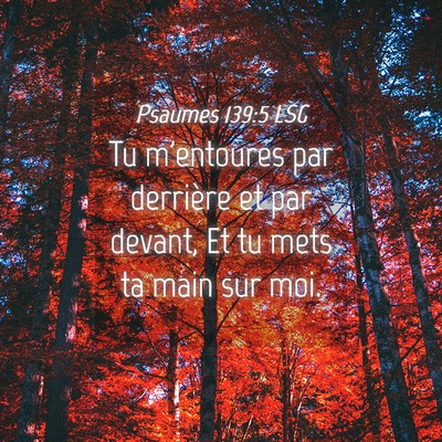 Picture 04 - Psaumes 139:5 LSG - Tu m'entoures par derrière et par devant, Et tu - Bible Verse Picture