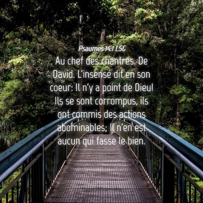 Picture 04 - Psaumes 14:1 LSG - Au chef des chantres. De David. L'insensé dit en - Bible Verse Picture
