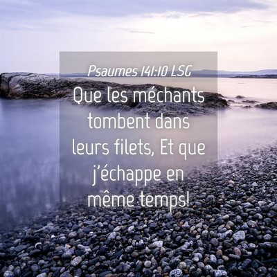 Picture 04 - Psaumes 141:10 LSG - Que les méchants tombent dans leurs filets, Et - Bible Verse Picture