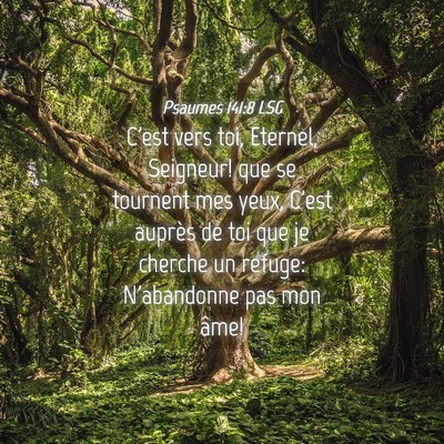 Picture 04 - Psaumes 141:8 LSG - C'est vers toi, Eternel, Seigneur! que se - Bible Verse Picture