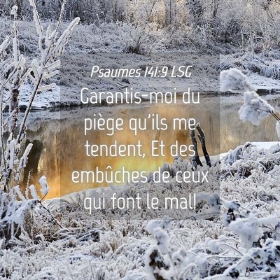 Picture 04 - Psaumes 141:9 LSG - Garantis-moi du piège qu'ils me tendent, Et des - Bible Verse Picture