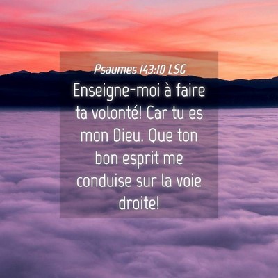 Picture 04 - Psaumes 143:10 LSG - Enseigne-moi à faire ta volonté! Car tu es mon - Bible Verse Picture