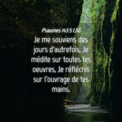 Picture 04 - Psaumes 143:5 LSG - Je me souviens des jours d'autrefois, Je médite - Bible Verse Picture