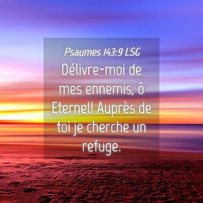 Picture 04 - Psaumes 143:9 LSG - Délivre-moi de mes ennemis, ô Eternel! Auprès - Bible Verse Picture