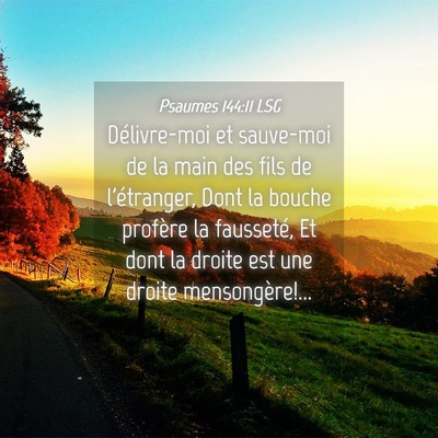 Picture 04 - Psaumes 144:11 LSG - Délivre-moi et sauve-moi de la main des fils de - Bible Verse Picture