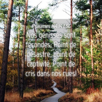 Picture 04 - Psaumes 144:14 LSG - Nos génisses sont fécondes; Point de désastre, - Bible Verse Picture