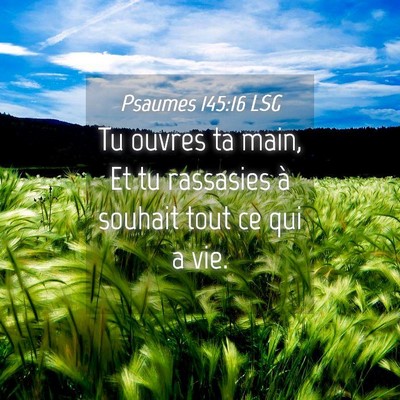 Picture 04 - Psaumes 145:16 LSG - Tu ouvres ta main, Et tu rassasies à souhait - Bible Verse Picture