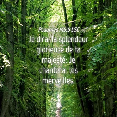 Picture 04 - Psaumes 145:5 LSG - Je dirai la splendeur glorieuse de ta majesté; - Bible Verse Picture