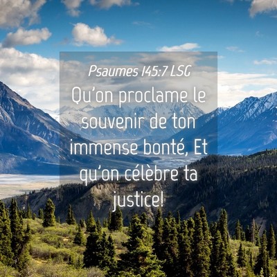 Picture 04 - Psaumes 145:7 LSG - Qu'on proclame le souvenir de ton immense bonté, - Bible Verse Picture