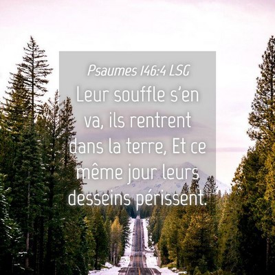 Picture 04 - Psaumes 146:4 LSG - Leur souffle s'en va, ils rentrent dans la terre, - Bible Verse Picture