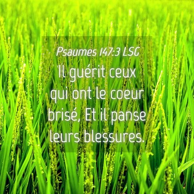 Picture 04 - Psaumes 147:3 LSG - Il guérit ceux qui ont le coeur brisé, Et il - Bible Verse Picture
