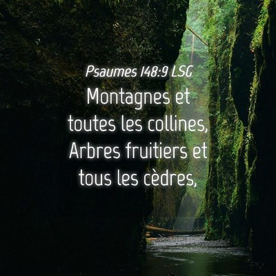 Picture 04 - Psaumes 148:9 LSG - Montagnes et toutes les collines, Arbres - Bible Verse Picture