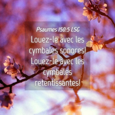 Picture 04 - Psaumes 150:5 LSG - Louez-le avec les cymbales sonores! Louez-le avec - Bible Verse Picture