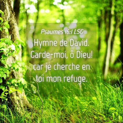 Picture 04 - Psaumes 16:1 LSG - Hymne de David. Garde-moi, ô Dieu! car je - Bible Verse Picture