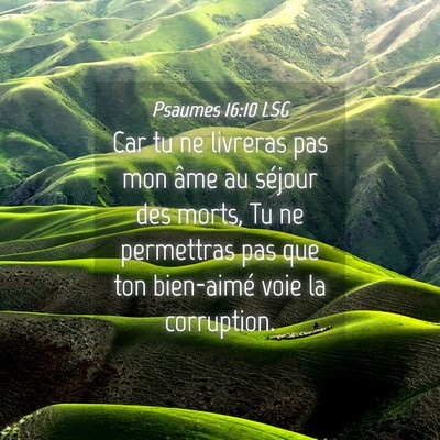Picture 04 - Psaumes 16:10 LSG - Car tu ne livreras pas mon âme au séjour des - Bible Verse Picture