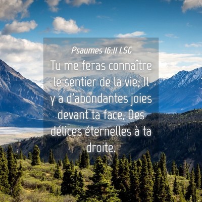 Picture 04 - Psaumes 16:11 LSG - Tu me feras connaître le sentier de la vie; Il y - Bible Verse Picture