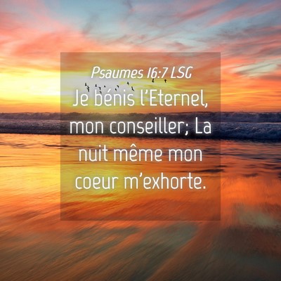 Picture 04 - Psaumes 16:7 LSG - Je bénis l'Eternel, mon conseiller; La nuit - Bible Verse Picture