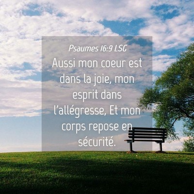 Picture 04 - Psaumes 16:9 LSG - Aussi mon coeur est dans la joie, mon esprit dans - Bible Verse Picture