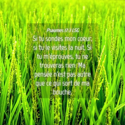 Picture 04 - Psaumes 17:3 LSG - Si tu sondes mon coeur, si tu le visites la nuit, - Bible Verse Picture