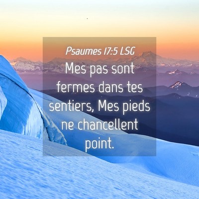 Picture 04 - Psaumes 17:5 LSG - Mes pas sont fermes dans tes sentiers, Mes pieds - Bible Verse Picture