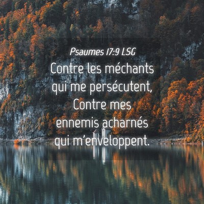 Picture 04 - Psaumes 17:9 LSG - Contre les méchants qui me persécutent, Contre - Bible Verse Picture