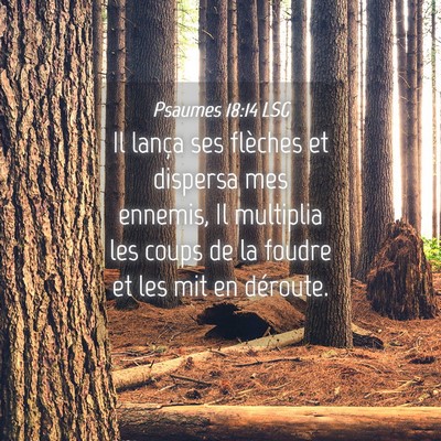 Picture 04 - Psaumes 18:14 LSG - Il lança ses flèches et dispersa mes ennemis, - Bible Verse Picture