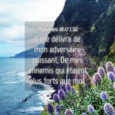 Picture 04 - Psaumes 18:17 LSG - Il me délivra de mon adversaire puissant, De mes - Bible Verse Picture