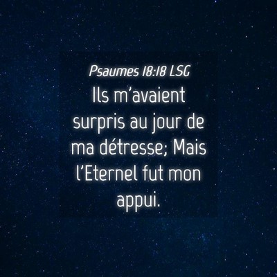 Picture 04 - Psaumes 18:18 LSG - Ils m'avaient surpris au jour de ma détresse; - Bible Verse Picture