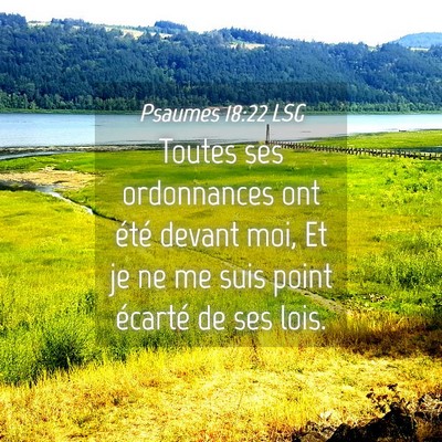 Picture 04 - Psaumes 18:22 LSG - Toutes ses ordonnances ont été devant moi, Et - Bible Verse Picture