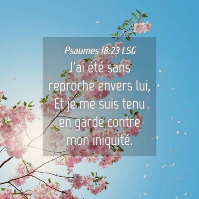 Picture 04 - Psaumes 18:23 LSG - J'ai été sans reproche envers lui, Et je me - Bible Verse Picture
