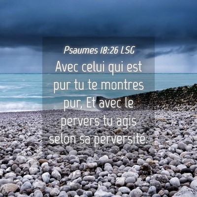 Picture 04 - Psaumes 18:26 LSG - Avec celui qui est pur tu te montres pur, Et avec - Bible Verse Picture