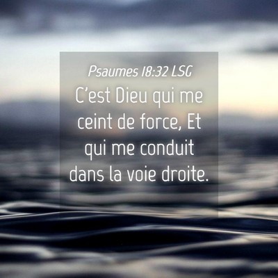 Picture 04 - Psaumes 18:32 LSG - C'est Dieu qui me ceint de force, Et qui me - Bible Verse Picture