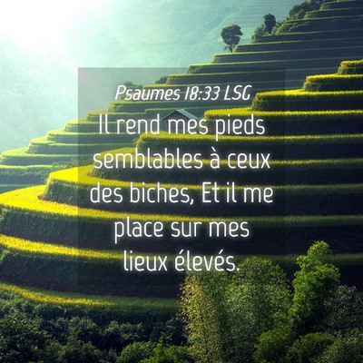 Picture 04 - Psaumes 18:33 LSG - Il rend mes pieds semblables à ceux des biches, - Bible Verse Picture