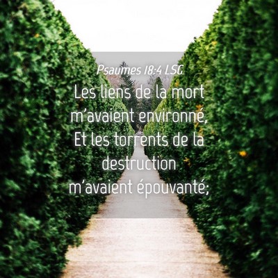 Picture 04 - Psaumes 18:4 LSG - Les liens de la mort m'avaient environné, Et les - Bible Verse Picture