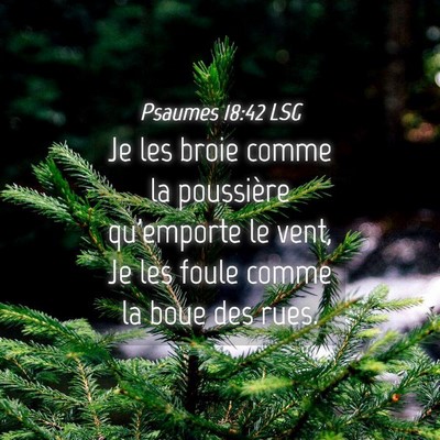 Picture 04 - Psaumes 18:42 LSG - Je les broie comme la poussière qu'emporte le - Bible Verse Picture