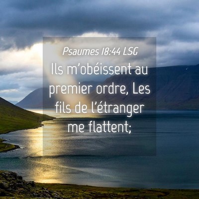 Picture 04 - Psaumes 18:44 LSG - Ils m'obéissent au premier ordre, Les fils de - Bible Verse Picture
