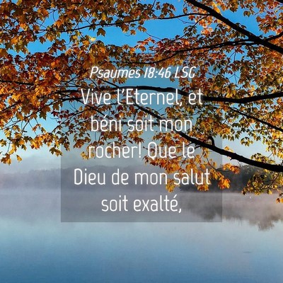 Picture 04 - Psaumes 18:46 LSG - Vive l'Eternel, et béni soit mon rocher! Que le - Bible Verse Picture