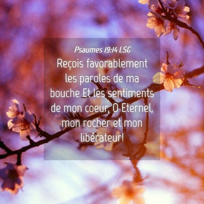 Picture 04 - Psaumes 19:14 LSG - Reçois favorablement les paroles de ma bouche Et - Bible Verse Picture