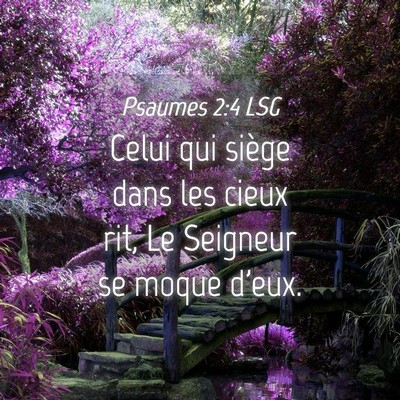 Picture 04 - Psaumes 2:4 LSG - Celui qui siège dans les cieux rit, Le Seigneur - Bible Verse Picture