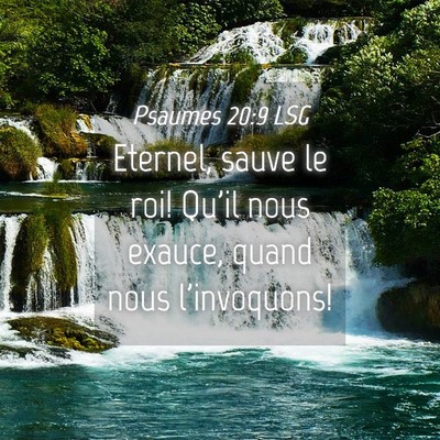 Picture 04 - Psaumes 20:9 LSG - Eternel, sauve le roi! Qu'il nous exauce, quand - Bible Verse Picture
